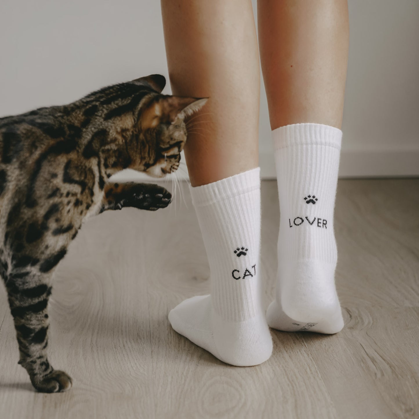 Die Beine einer Frau, die weiße Socken mit schwarzem Pfotenabdruck und den Worten „CAT“ und „LOVER“ trägt, daneben hebt eine neugierige getigerte Katze, die die Socken berühren möchte.