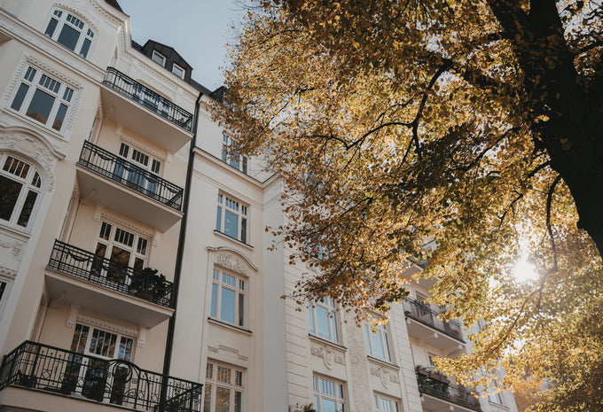 Unser Wallpaper für dich | November 2025