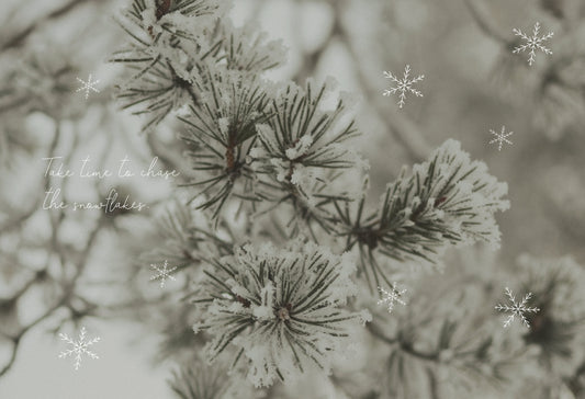 Hallo 2026! Dein neues Wallpaper | Januar 2026