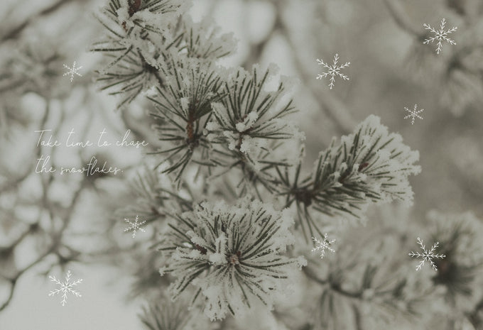 Hallo 2026! Dein neues Wallpaper | Januar 2026