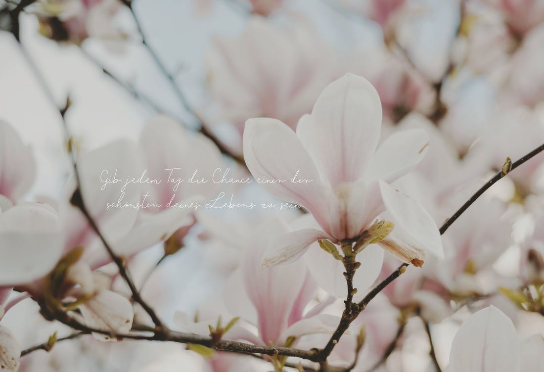 Hallo Mai! Dein neues Wallpaper ist da | Mai 2026