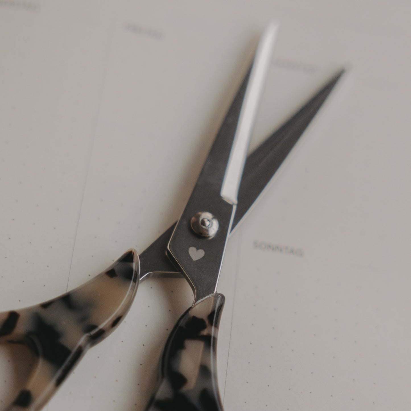 Detail silberne Schere mit Leo-Griff auf Notizbuch mit Wochenübersicht