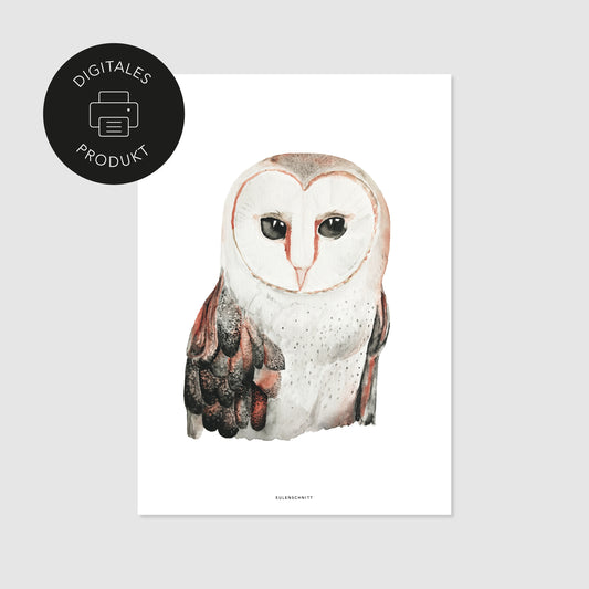 Poster Eule zum Download