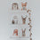 Poster Reh zum Download