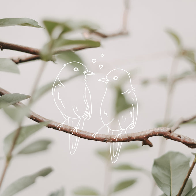 Februar Wallpaper