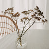 ransparente Bubble Glasvase mit Trockenblumen auf hellem Esstisch im skandinavischen Stil.