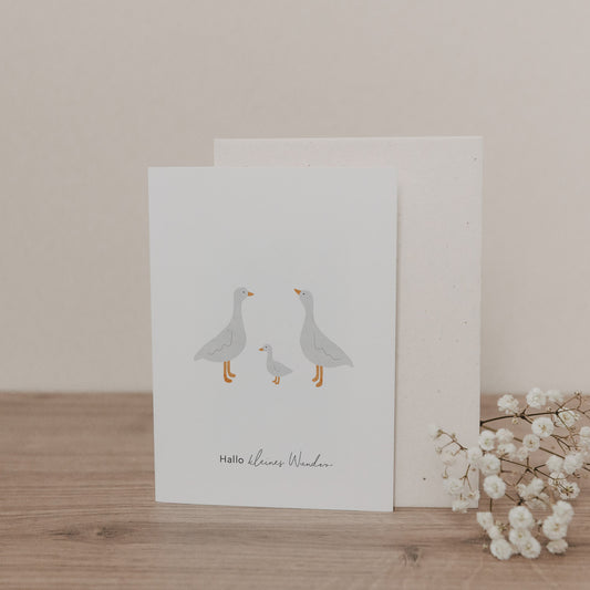 Klappkarte mit drei grauen Gänsen und Schriftzug ‚Hallo kleines Wunder‘, inkl. Umschlag, liebevoll gestalteter Babygruß.