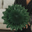 Grüne Papierschneeflocke 45 cm mit filigraner Fächerstruktur im Detail