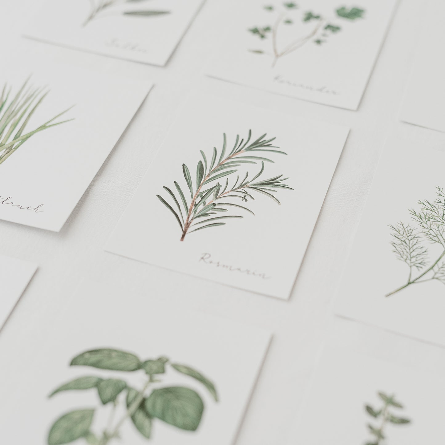 Kartenset Kräuter 9er Set