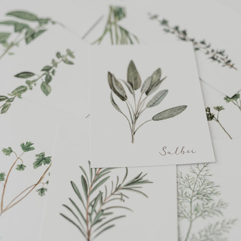 Kartenset Kräuter 9er Set