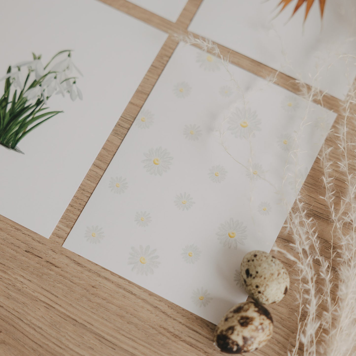 Aquarellkarte mit zarten Gänseblümchen, umgeben von Federn und Wachteleiern.