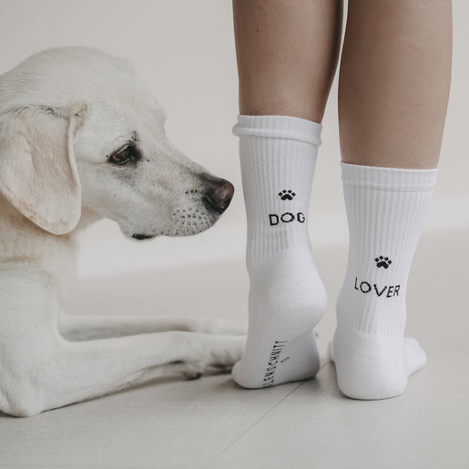 Beine einer Frau mit weißen Socken mit schwarzem Pfotenabdruck und den Wörtern 'DOG' auf der einen und 'LOVER' auf der anderen Ferse. Daneben liegt ein süßer heller Labrador und schnuppert an der Socke.