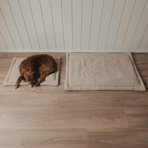 Zwei cremefarbene Hundedecken als gemütlicher Liegeplatz für Hunde