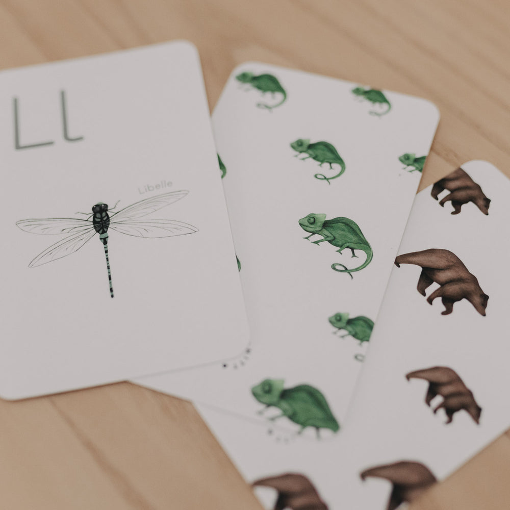Nahaufnahme von Libellen-, Chamäleon- und Bärenkarten des Tieralphabets.
